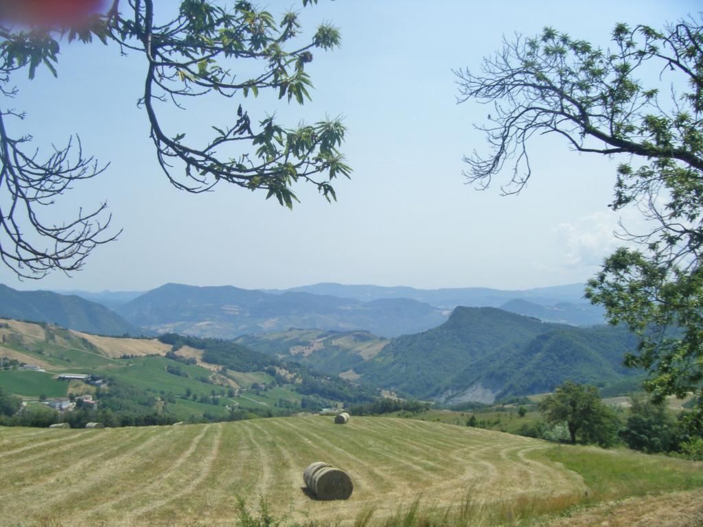 Castel dʼAiano La Piana Dei Castagniヴィラ エクステリア 写真