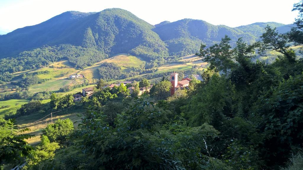 Castel dʼAiano La Piana Dei Castagniヴィラ エクステリア 写真