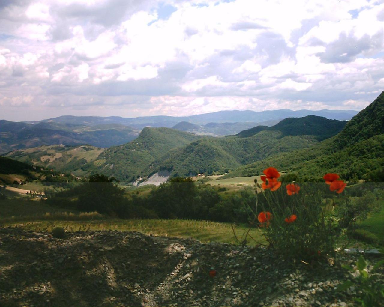 Castel dʼAiano La Piana Dei Castagniヴィラ エクステリア 写真