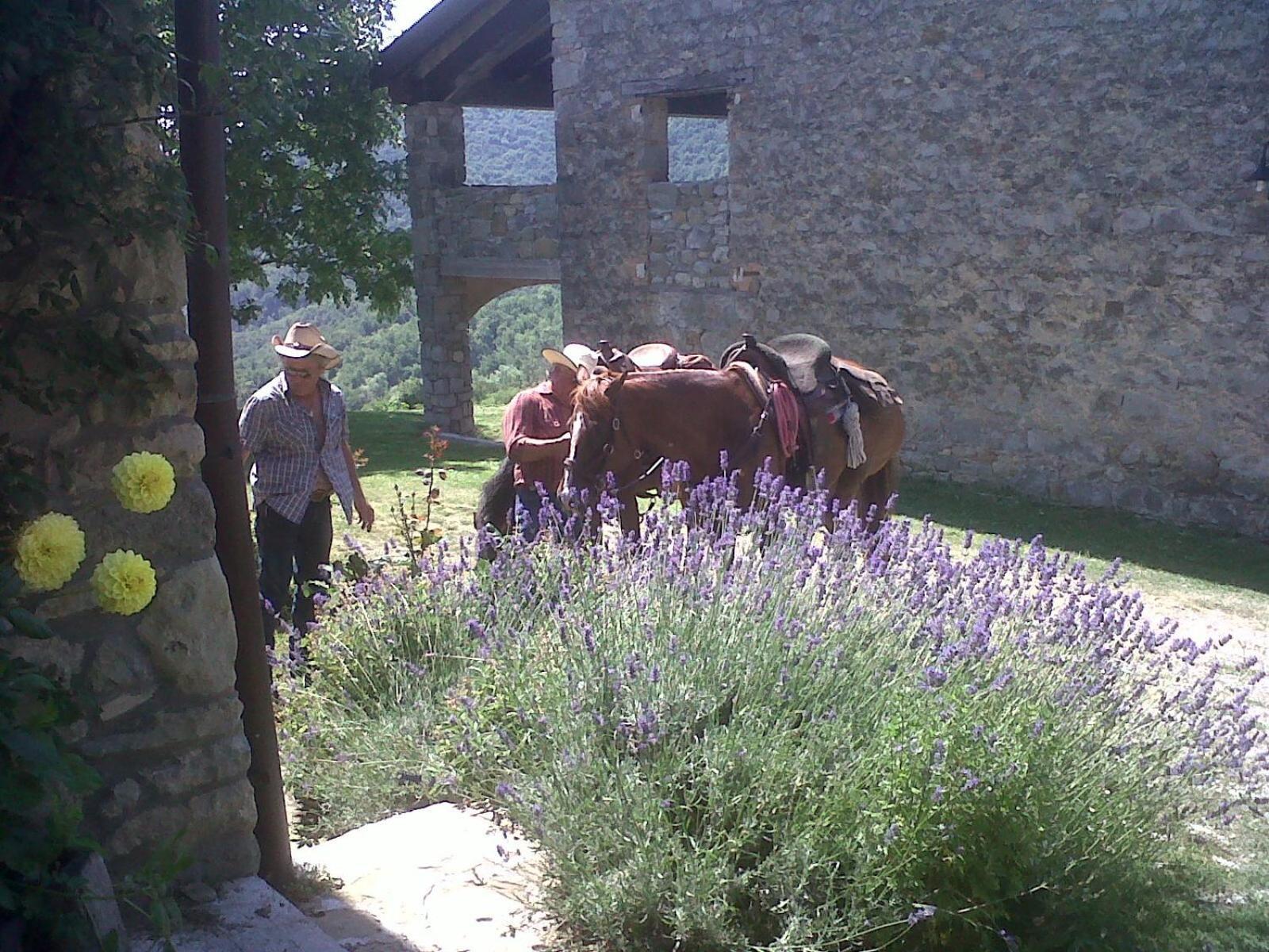 Castel dʼAiano La Piana Dei Castagniヴィラ エクステリア 写真