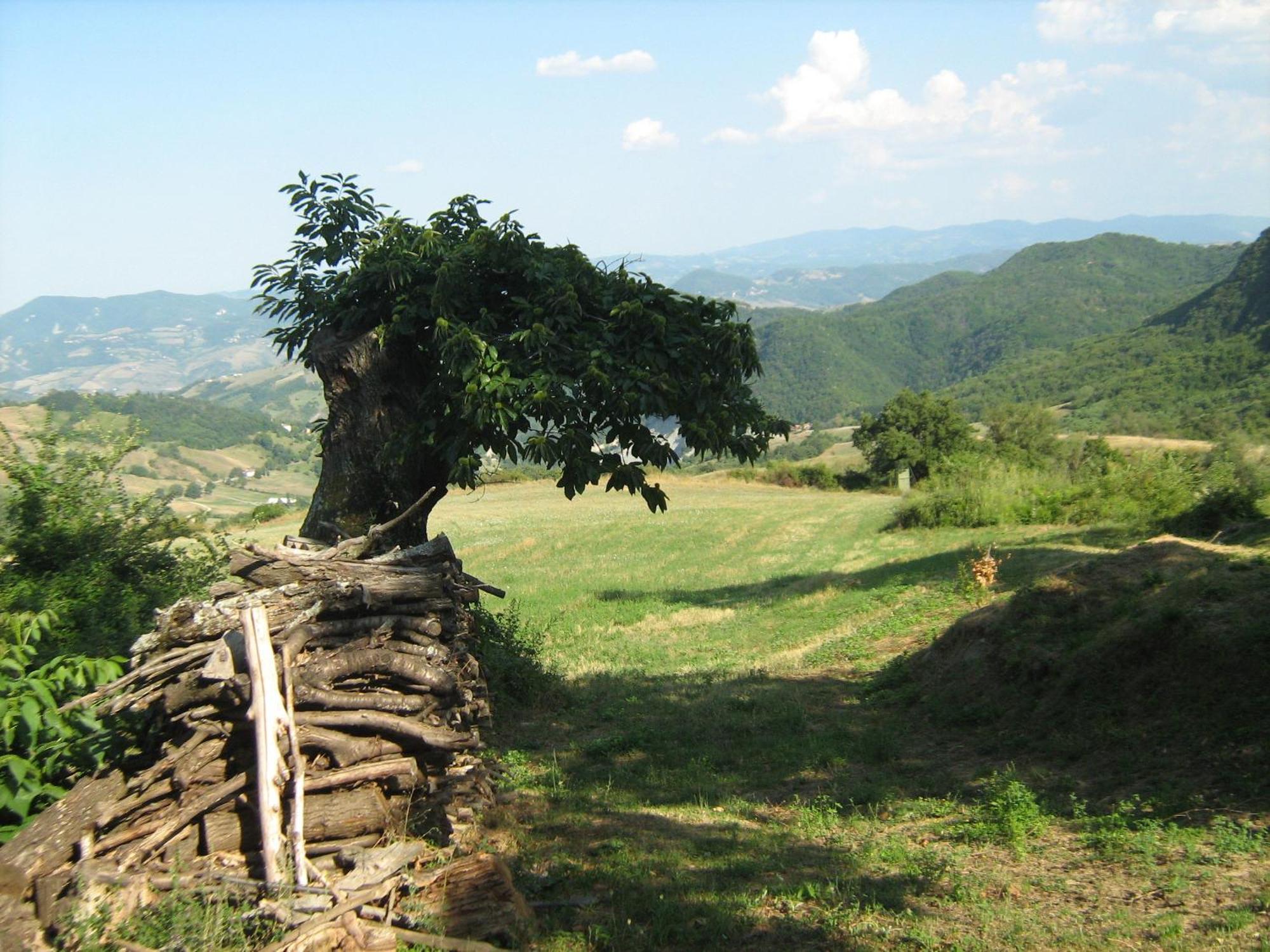 Castel dʼAiano La Piana Dei Castagniヴィラ エクステリア 写真