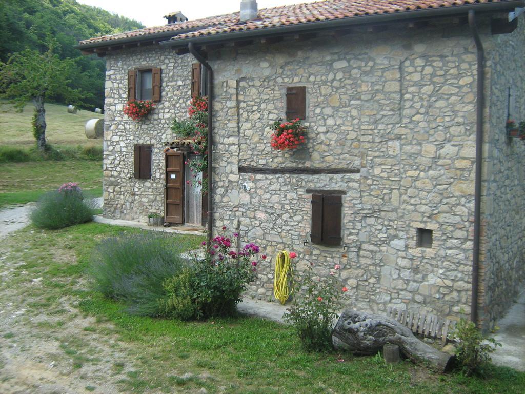 Castel dʼAiano La Piana Dei Castagniヴィラ エクステリア 写真