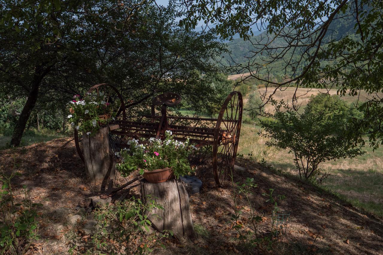 Castel dʼAiano La Piana Dei Castagniヴィラ エクステリア 写真