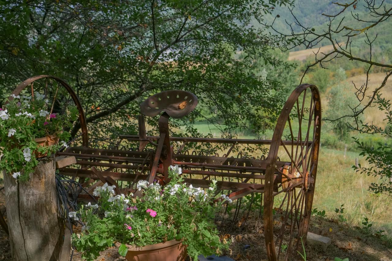 Castel dʼAiano La Piana Dei Castagniヴィラ エクステリア 写真