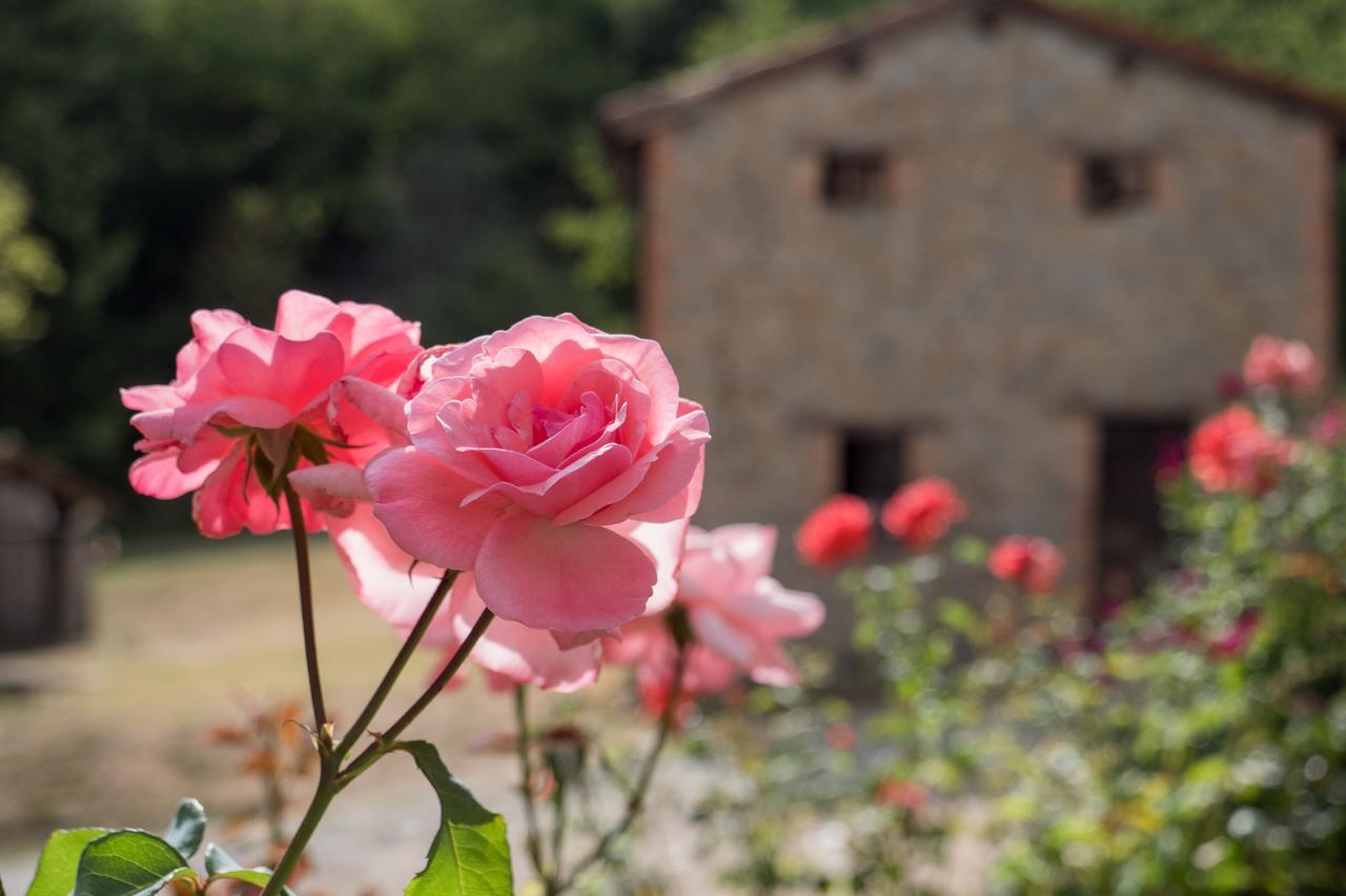 Castel dʼAiano La Piana Dei Castagniヴィラ エクステリア 写真