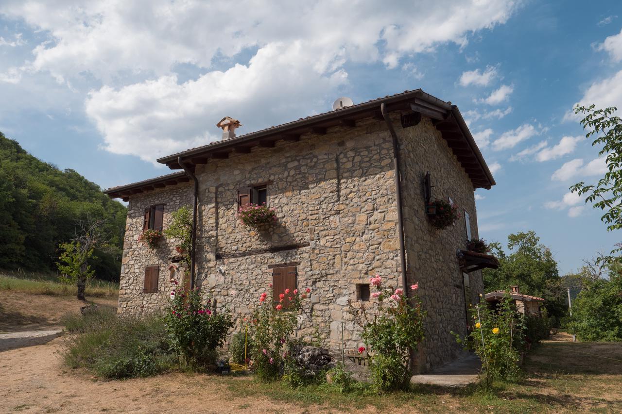 Castel dʼAiano La Piana Dei Castagniヴィラ エクステリア 写真