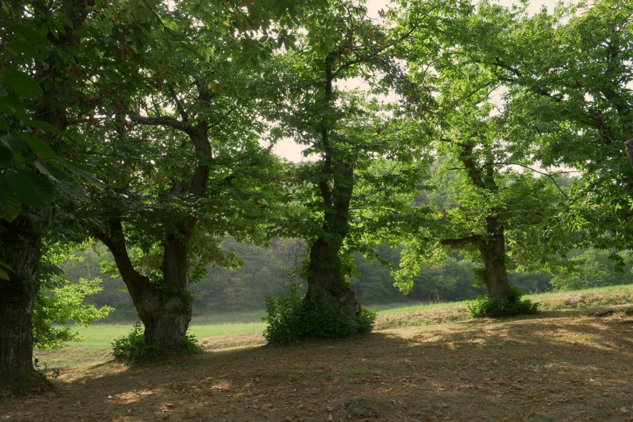 Castel dʼAiano La Piana Dei Castagniヴィラ エクステリア 写真