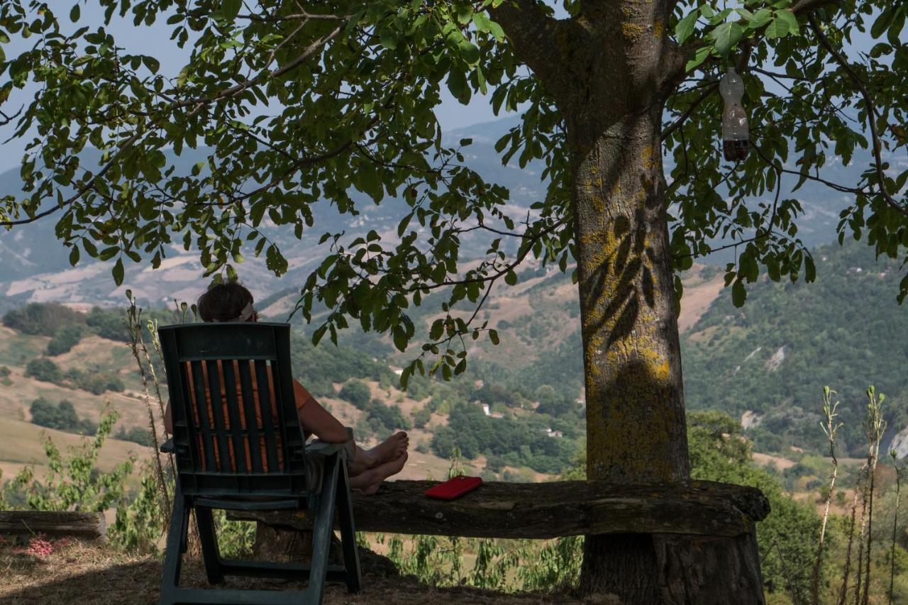 Castel dʼAiano La Piana Dei Castagniヴィラ エクステリア 写真